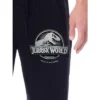 Jurassic World Mens' Movie Film Park Logo Icon Sleep Pajama Pants Black