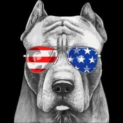 Men's Design By Humans American Pitbull With Sunglasses By Tank Top