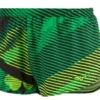 Mizuno Men's Printable 2" Short